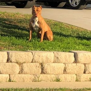 Meet your Posher, Tracie